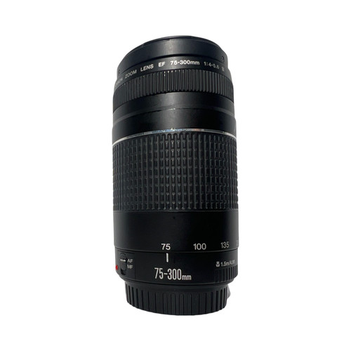 Canon 300 4 5 6 - f/4-5.6, iii